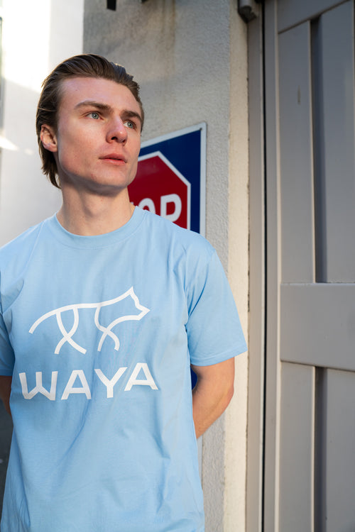 Light Tee Blue